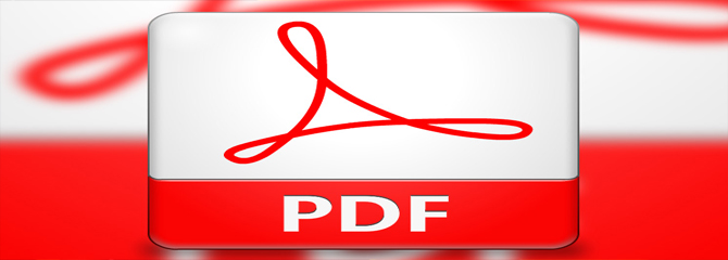 Your website in PDF